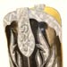 custom handmade gray sueded elephant with elephant inlays collar and ear pulls and custom initials